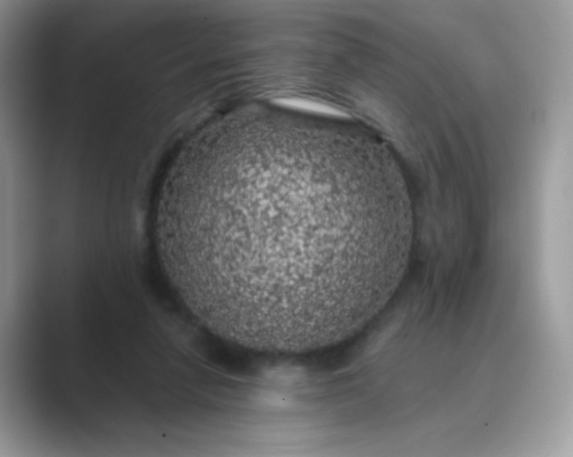 X0000089750258200707051820