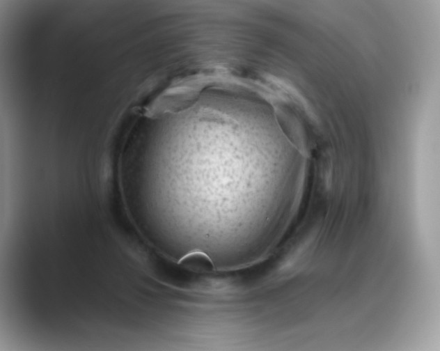 X0000089750260200707051820