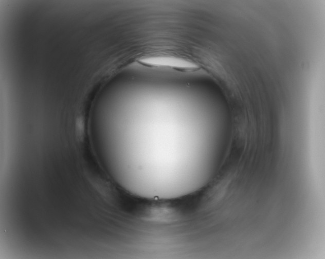 X0000089750262200707051820