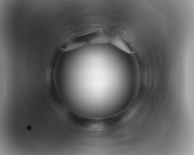 X0000089750263200707051820