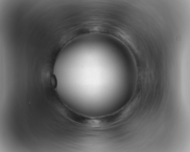 X0000089750265200707051820