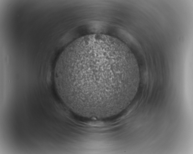 X0000089750266200707051820