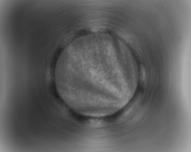 X0000089750272200707051820