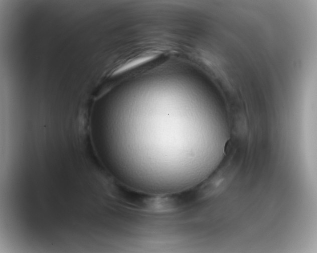 X0000089750273200707051820