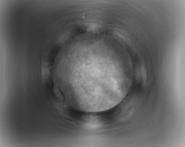 X0000089750276200707051820