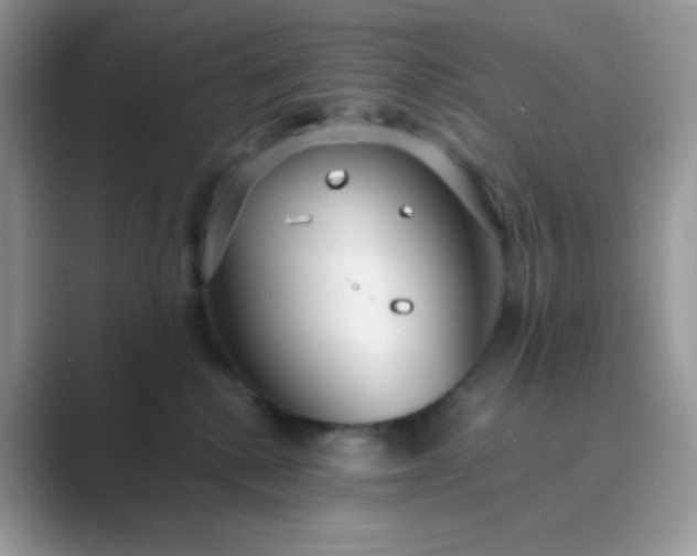 X0000089750280200707051821