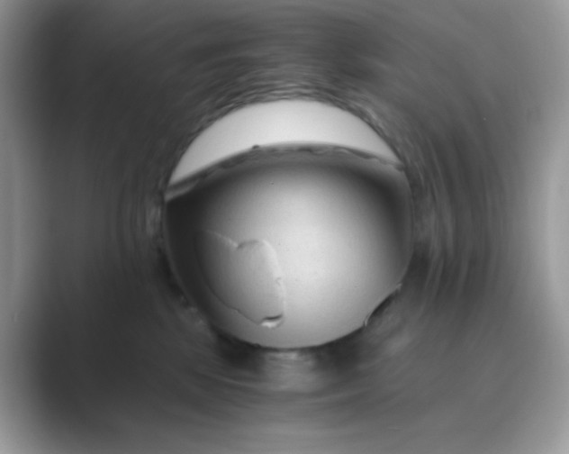 X0000089750281200707051821