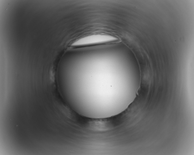 X0000089750282200707051821