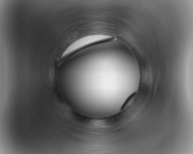 X0000089750283200707051821