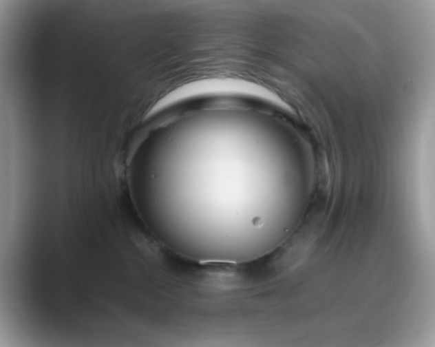 X0000089750284200707051821