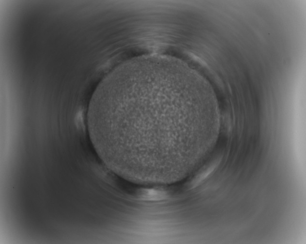 X0000089750286200707051821