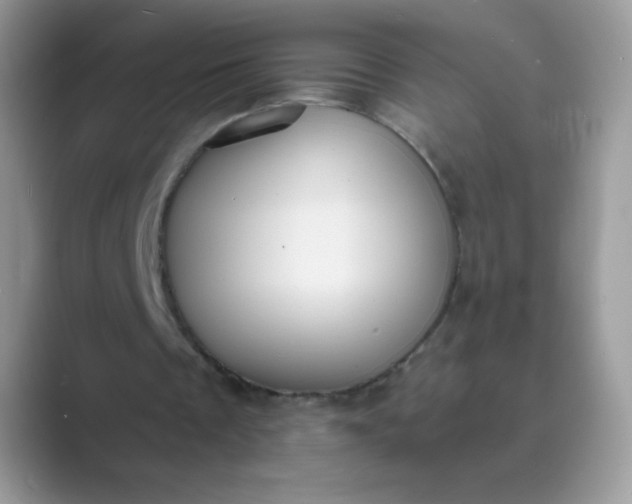 X0000089750289200707051820