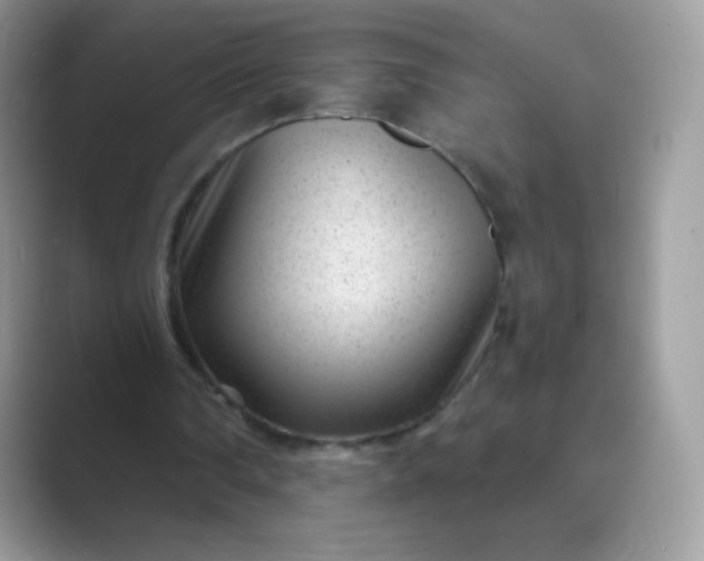 X0000089750290200707051820