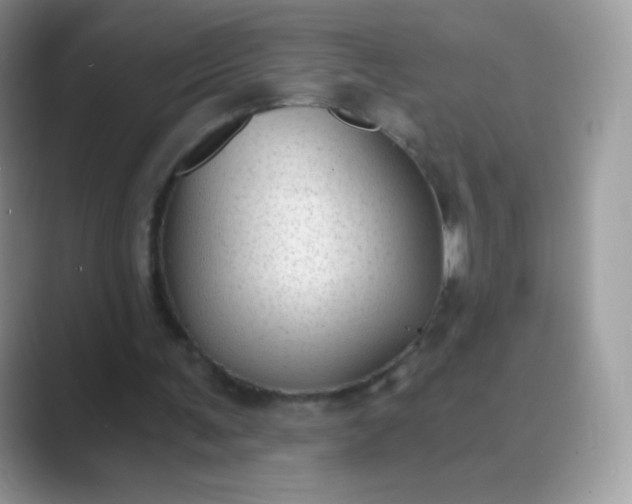 X0000089750291200707051820