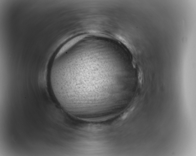 X0000089750292200707051820