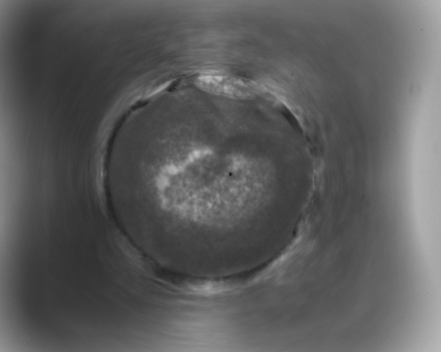 X0000089750293200707051820