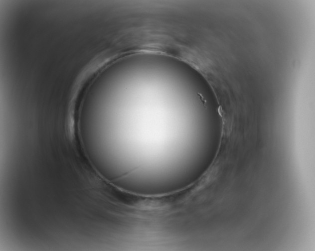 X0000089750294200707051820