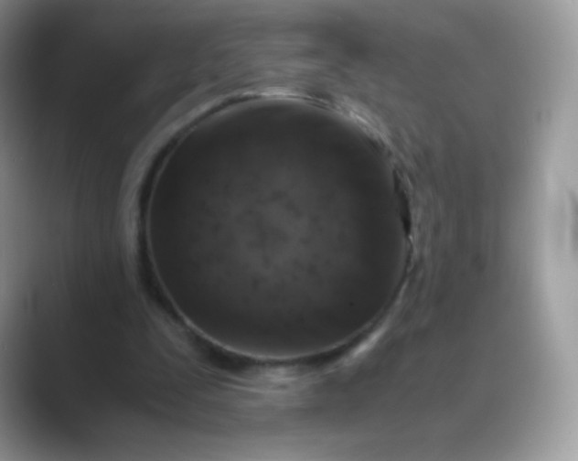 X0000089750295200707051820