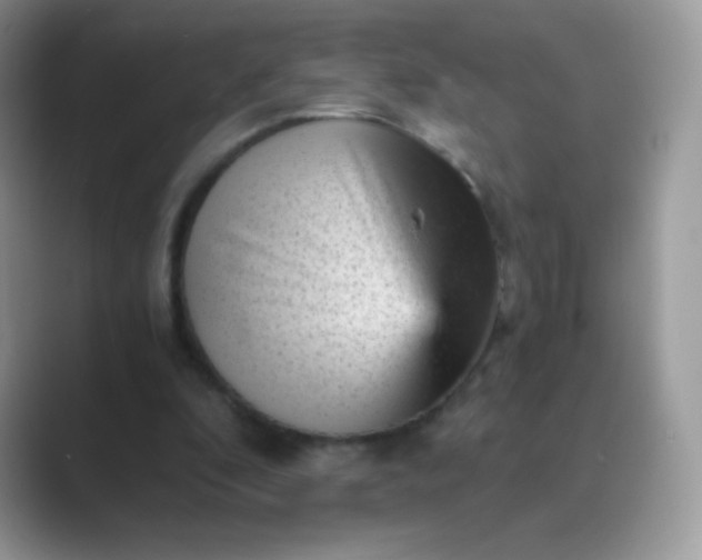 X0000089750296200707051820