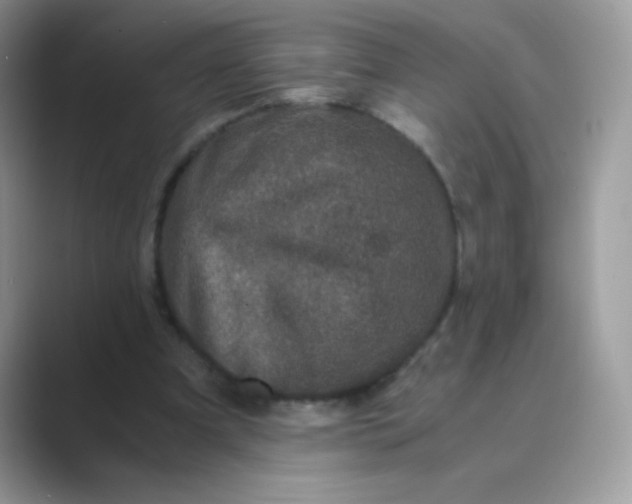 X0000089750297200707051820