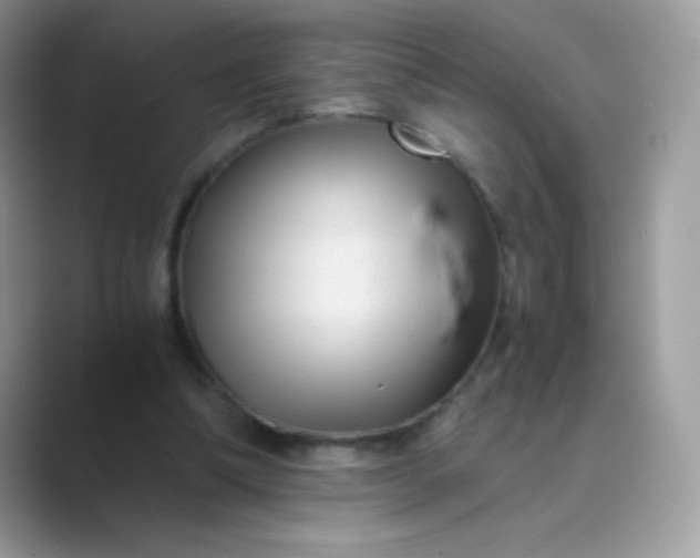 X0000089750298200707051820