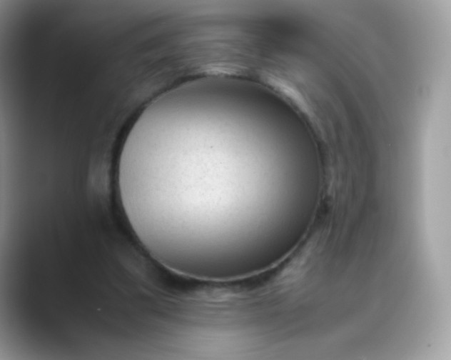 X0000089750299200707051820