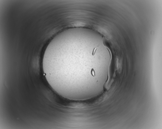 X0000089750300200707051820