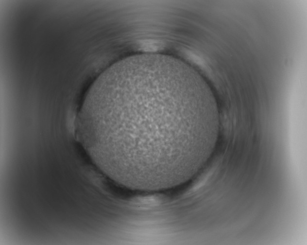 X0000089750307200707051820