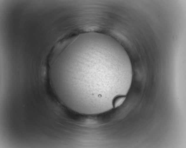 X0000089750308200707051820