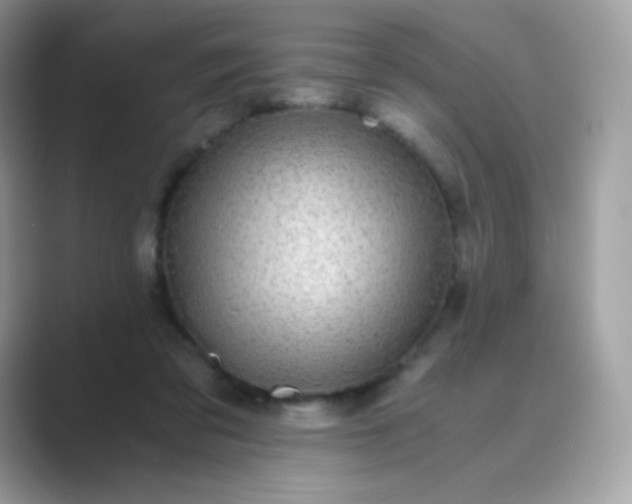 X0000089750309200707051820