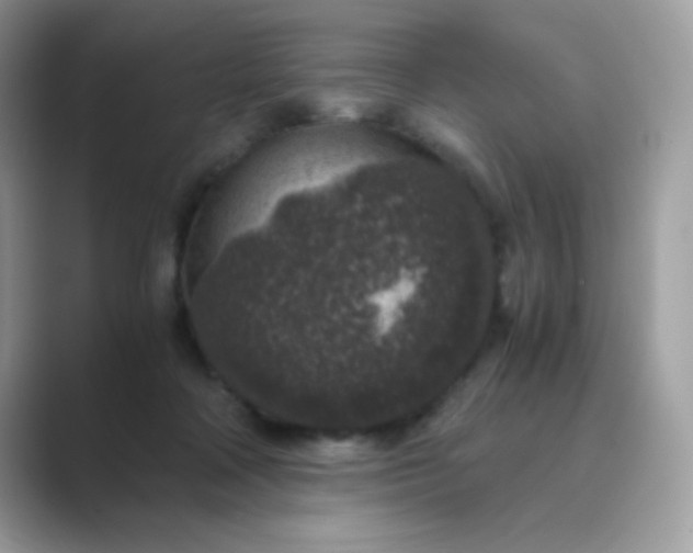 X0000089750314200707051820