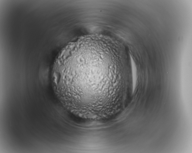 X0000089750319200707051820