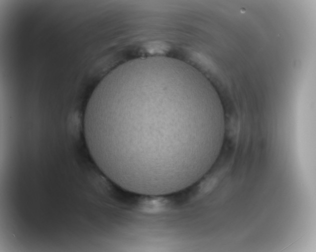 X0000089750321200707051820