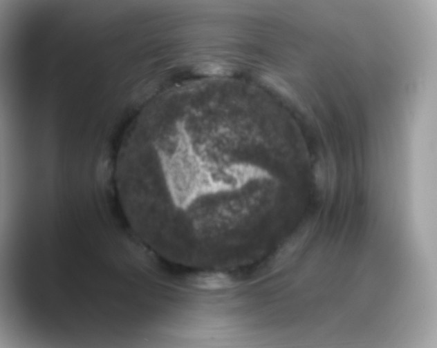 X0000089750322200707051820