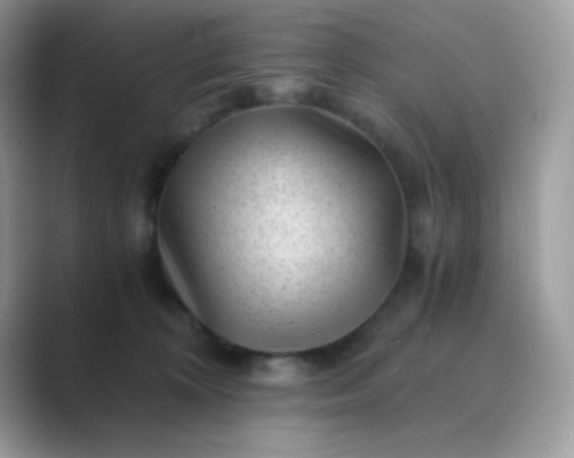 X0000089750324200707051819