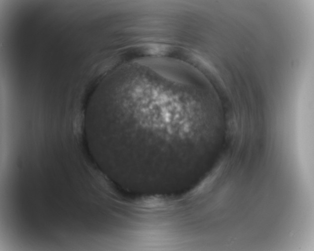 X0000089750325200707051819