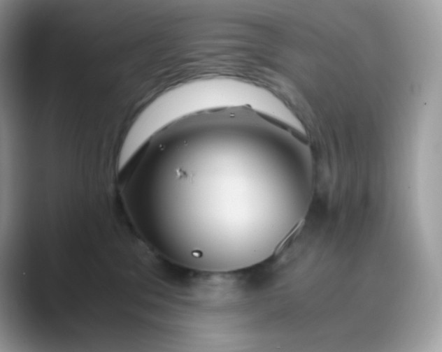 X0000089750329200707051819