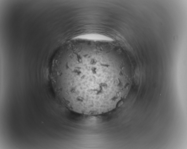 X0000089750330200707051819