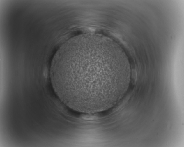 X0000089750331200707051819