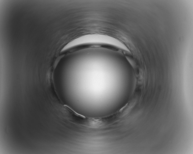 X0000089750333200707051819