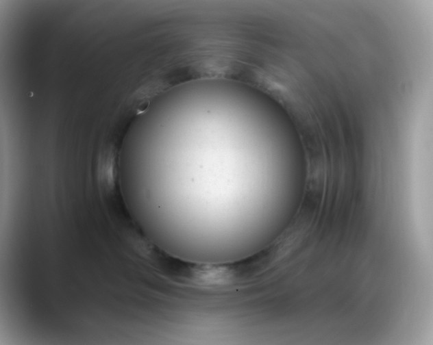 X0000089750334200707051819