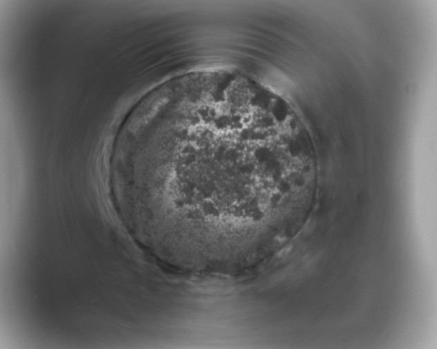 X0000089750337200707051819