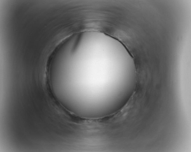 X0000089750338200707051819