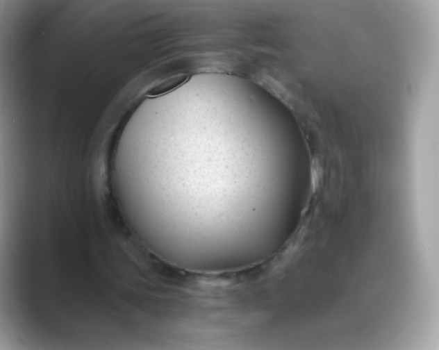 X0000089750339200707051819