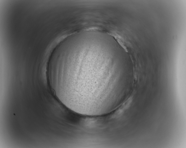 X0000089750341200707051819