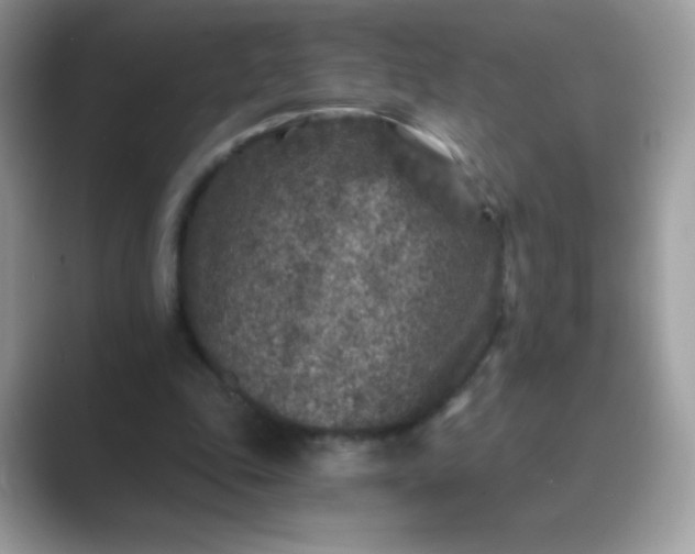 X0000089750343200707051819