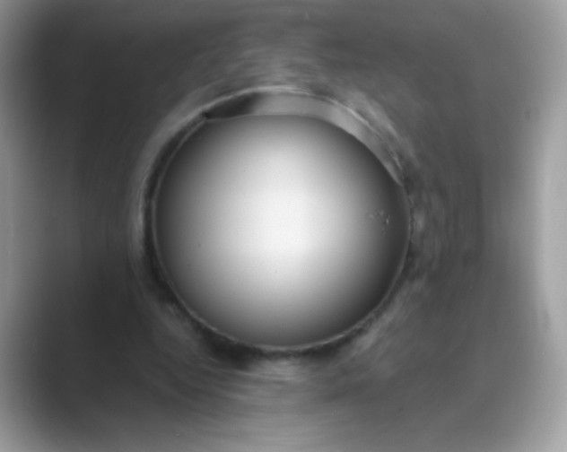 X0000089750344200707051819