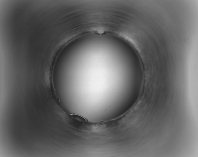 X0000089750345200707051819