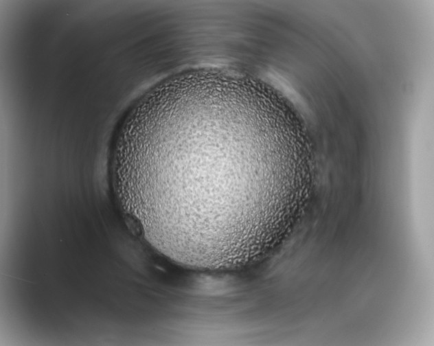 X0000089750346200707051819