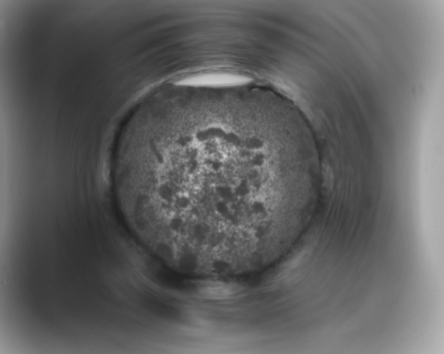 X0000089750347200707051819